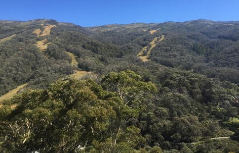 Thredbo image